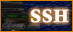StarSiege Holdover